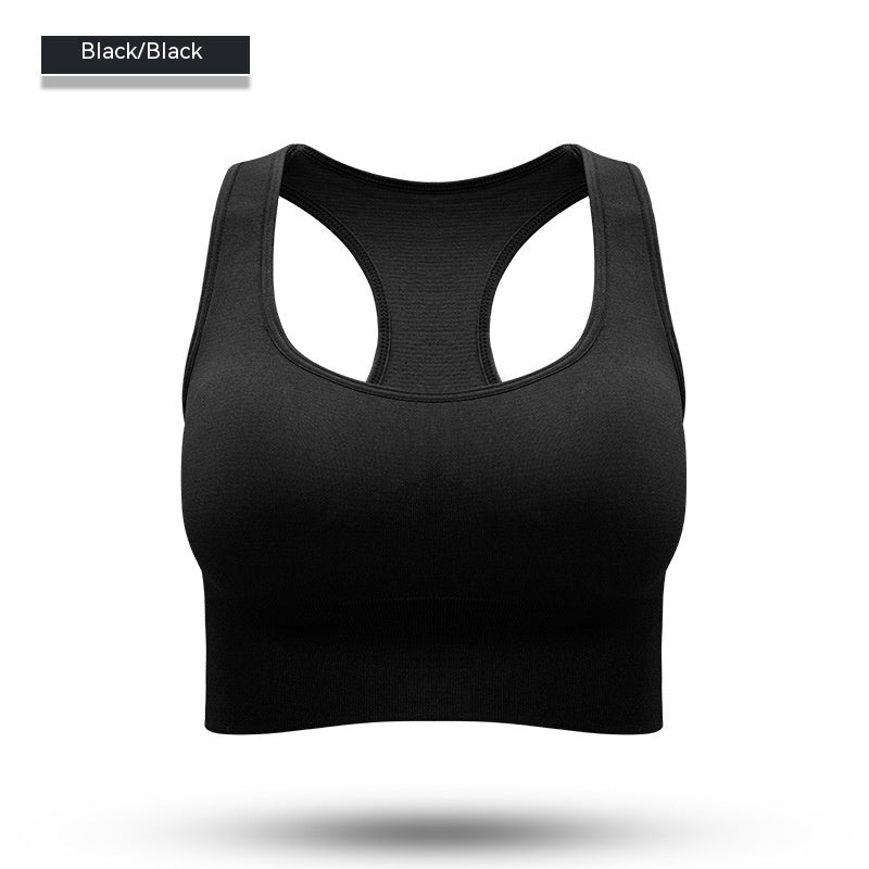 Performance Sports Bra