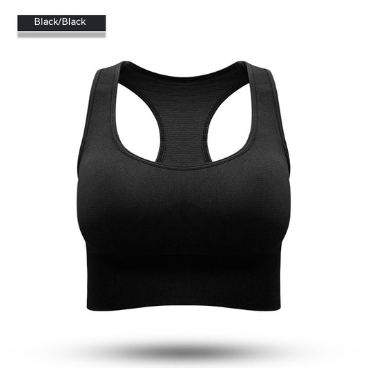 Performance Sports Bra