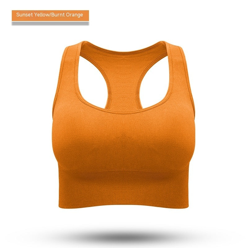 Performance Sports Bra