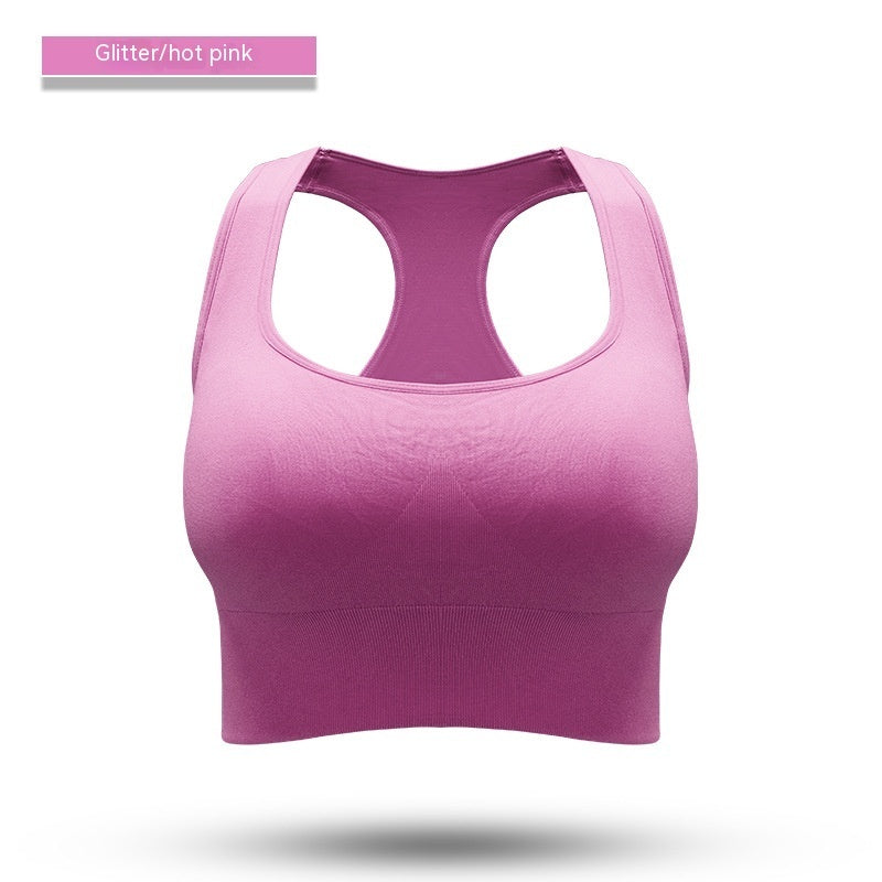 Performance Sports Bra