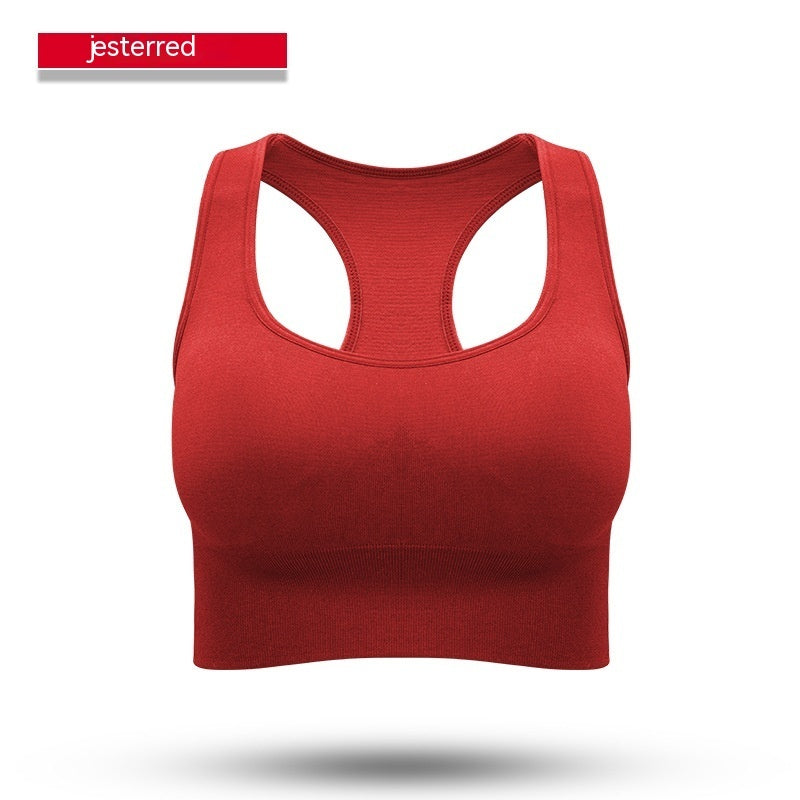 Performance Sports Bra