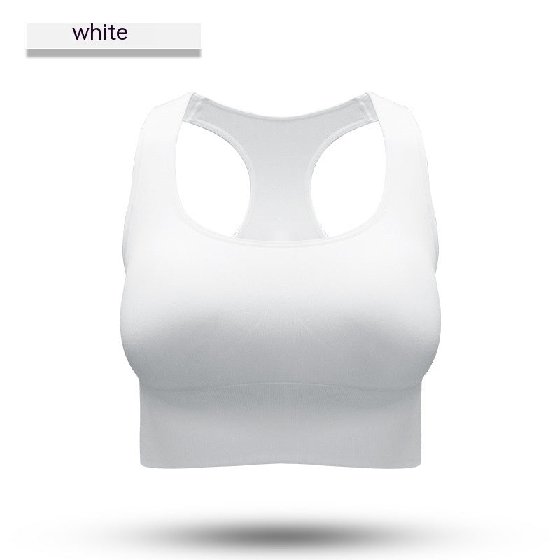 Performance Sports Bra