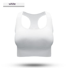 Performance Sports Bra