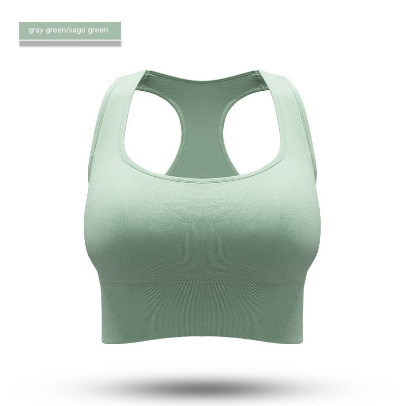Performance Sports Bra